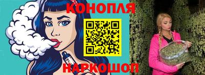 гашик Жуковский