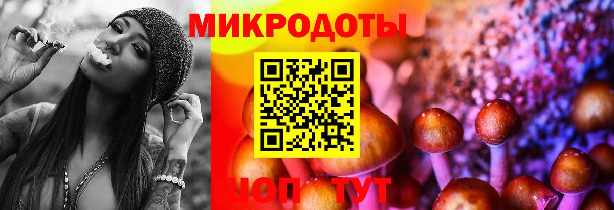 Михайловск  Псилоцибиновые грибы Psilocybe  Вход с VPN 